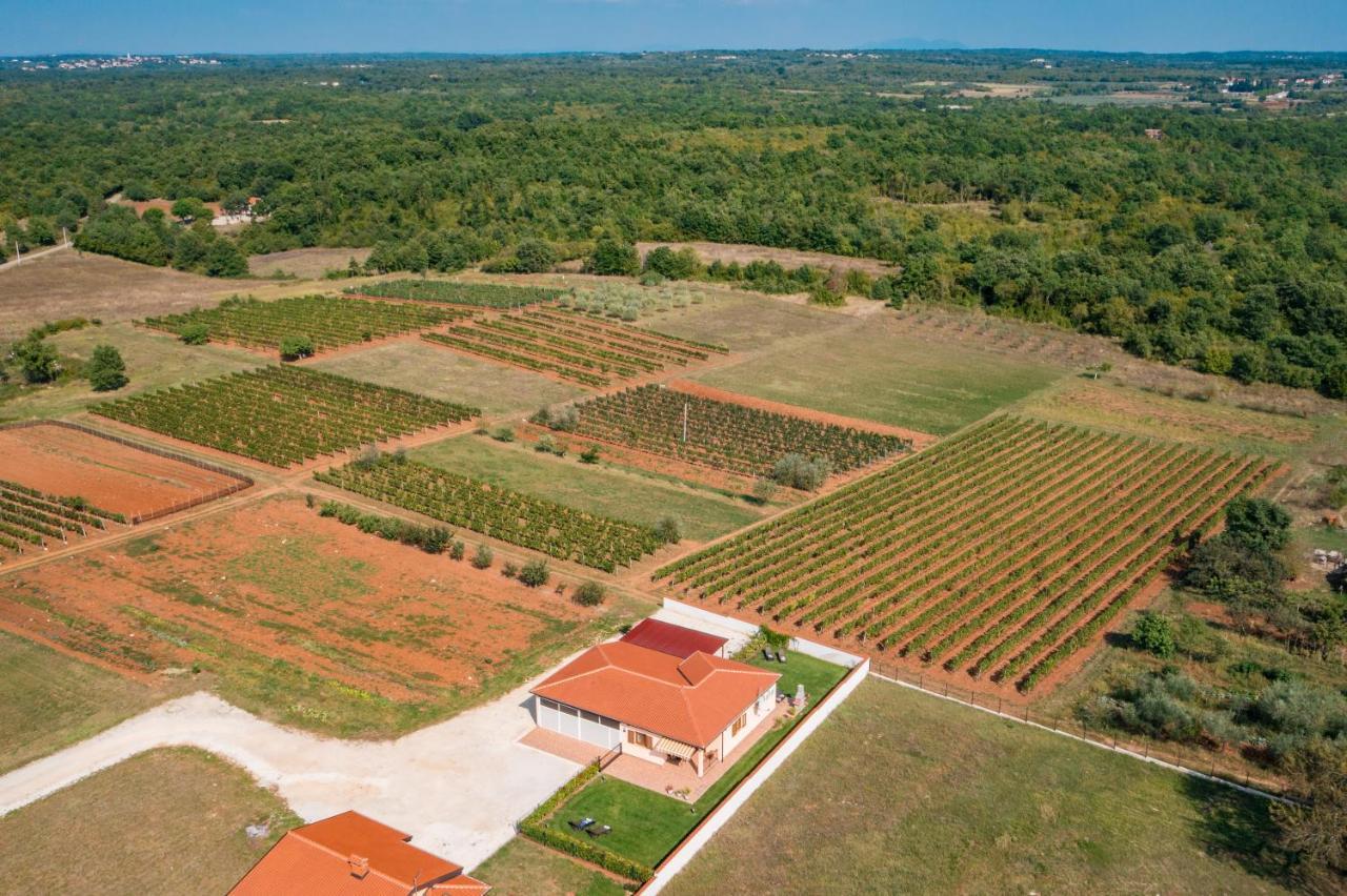 Villa Gracia Sveti Lovrec Pazenaticki ภายนอก รูปภาพ